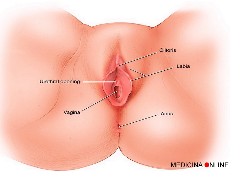 Female Orgasms: A Blend of Magic and Science